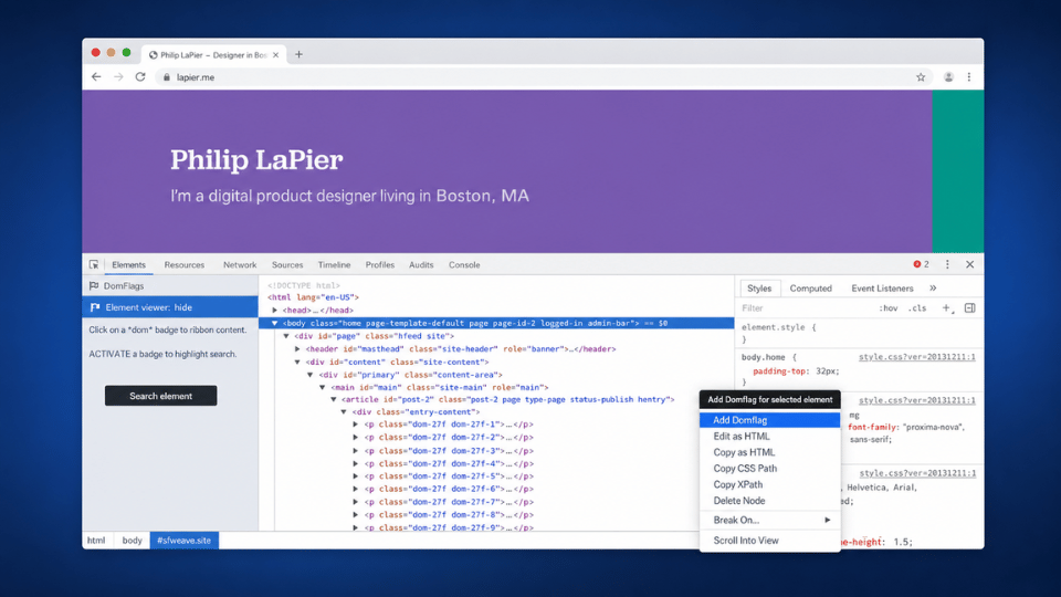 showing domflags tool demo